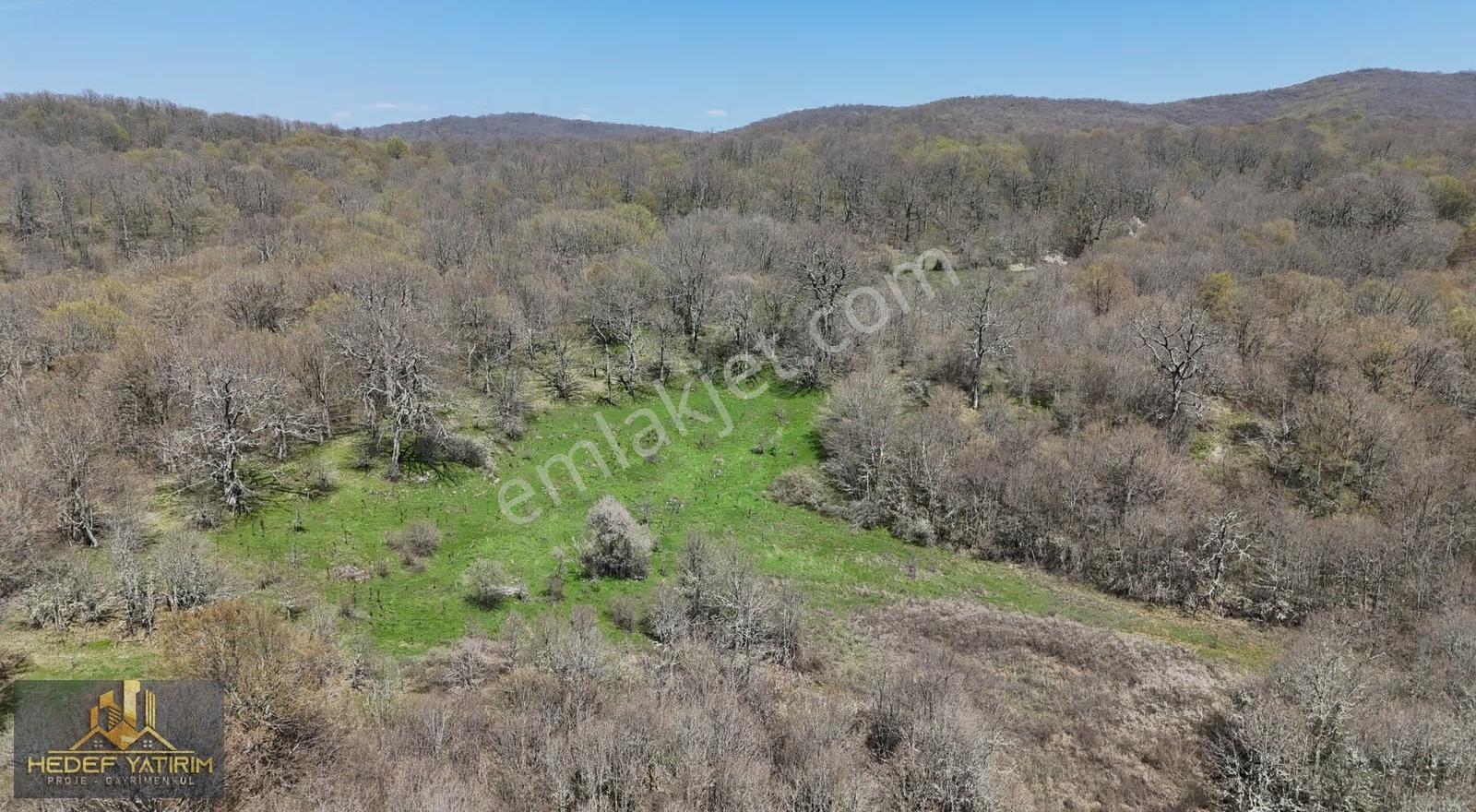 Hisseli Değil Al Kenarda Dursun Tek Tapu Arazi [ 1.886 M2 ] - Görsel 5