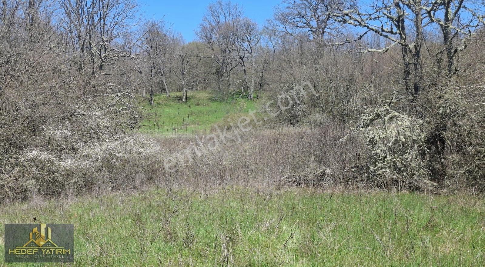 Hisseli Değil Al Kenarda Dursun Tek Tapu Arazi [ 1.886 M2 ] - Görsel 3