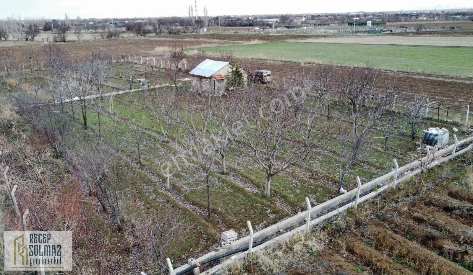Karahüyük Mah 2500 Mt Tapulu Bahçe - Görsel 6