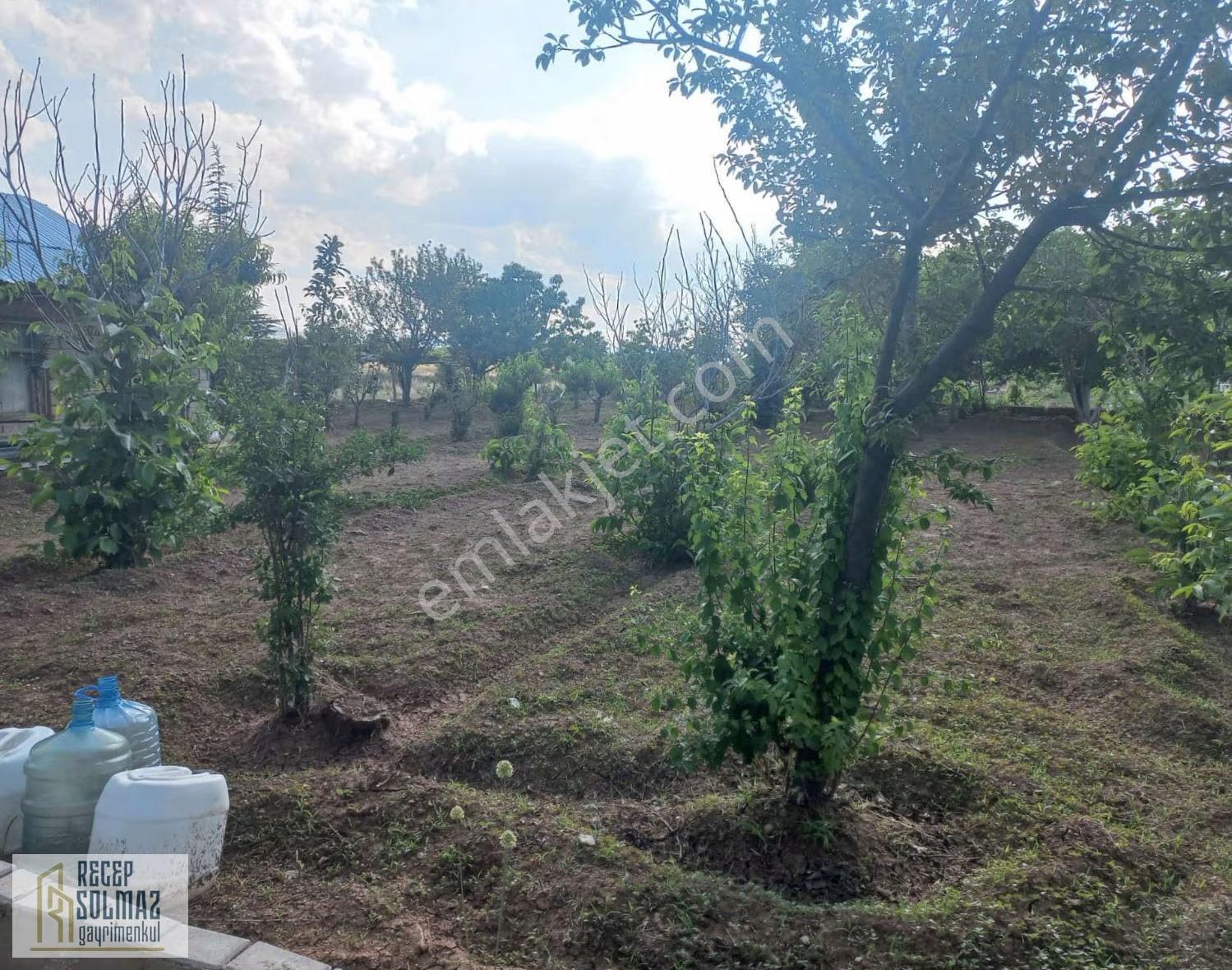 Karahüyük Mah 2500 Mt Tapulu Bahçe - Görsel 5