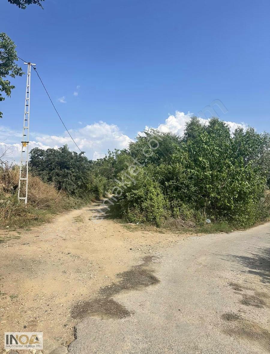 Sultanhisar Atça'da Satılık 4400 M² Tarla - Görsel 7