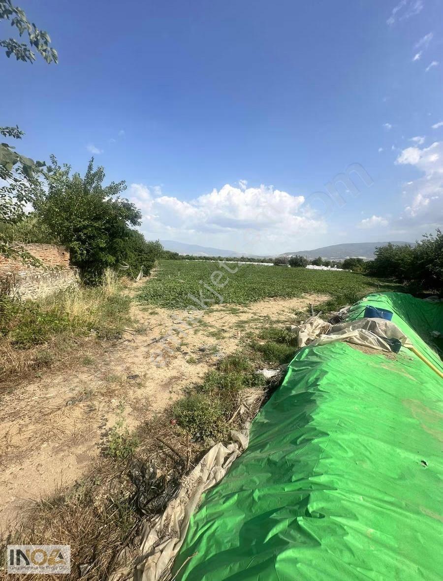 Sultanhisar Atça'da Satılık 4400 M² Tarla - Görsel 2