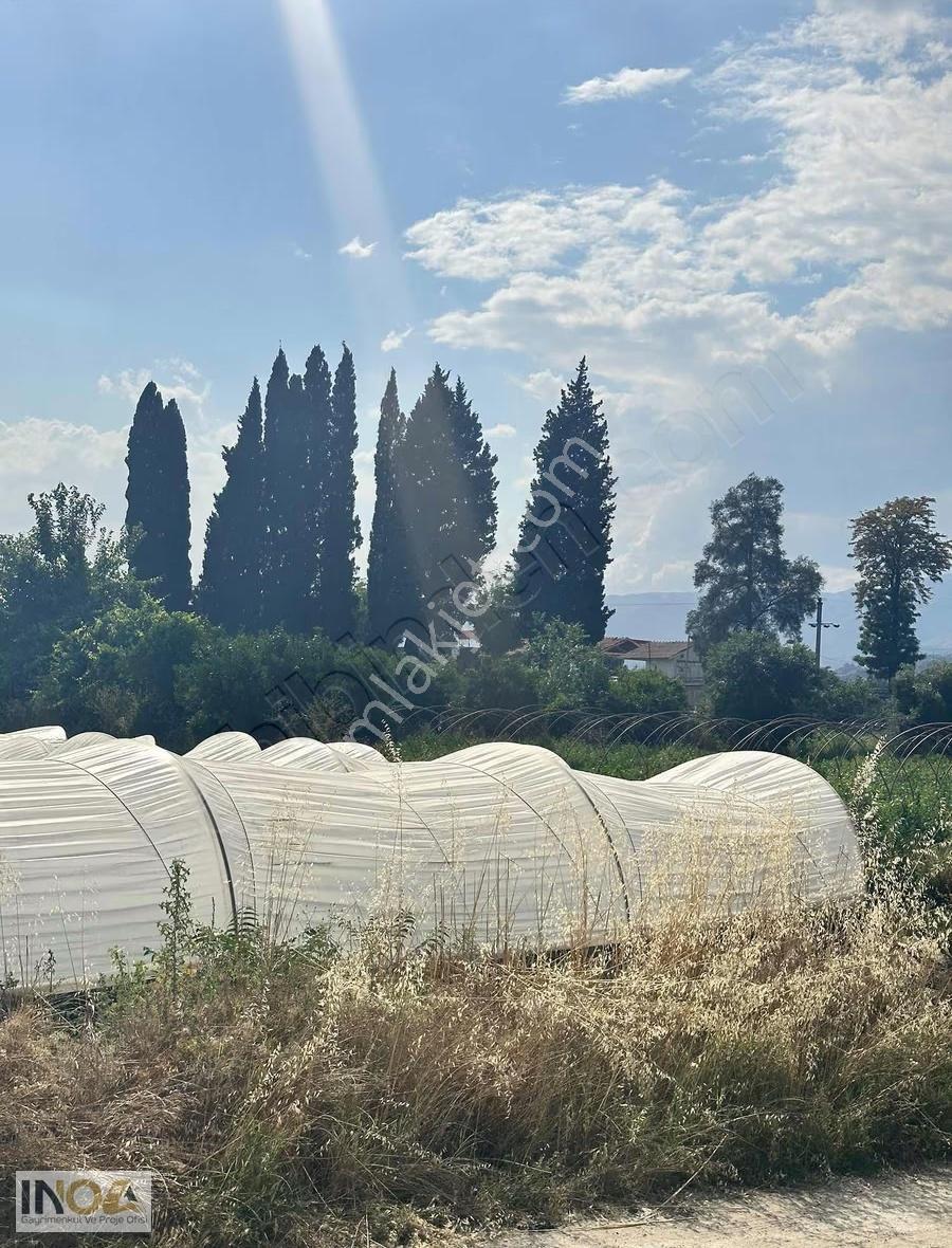 Sultanhisar Atça'da Satılık 4400 M² Tarla - Görsel 13