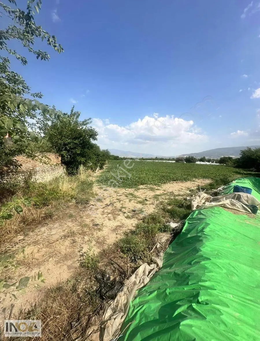 Sultanhisar Atça'da Satılık 4400 M² Tarla - Görsel 5