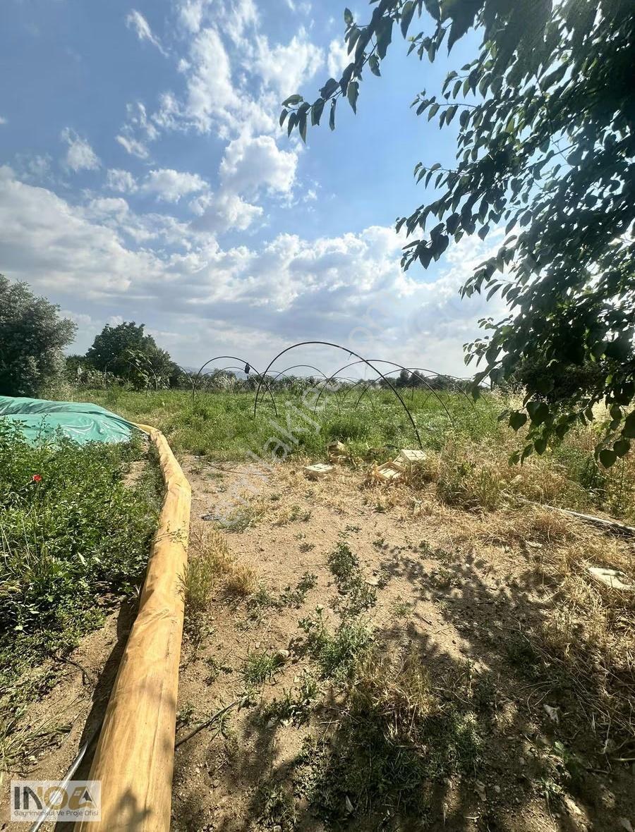 Atça'da Satılık 3300 M² Zeytinlik Bahçe (hisseli) - Görsel 5