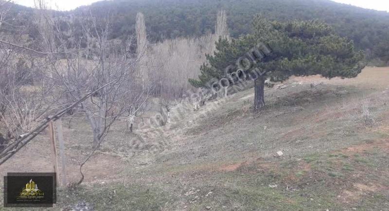 Kestel De Gölete Sıfır 5040 M2 Satılık Kargir Ev Ve Bahçesi - Görsel 2