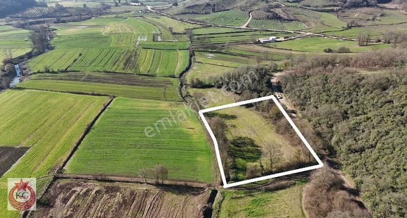Kandıra Dogancılı Mah Denize Yakın Arazi - Görsel 5
