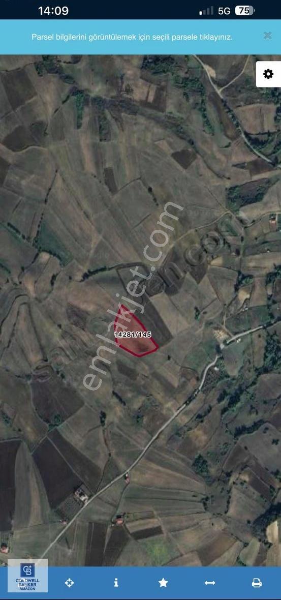 Cb.amazon İlkadım Uzgur Mahallesinde Yatırımlık Tarla Hissesi - Görsel 2