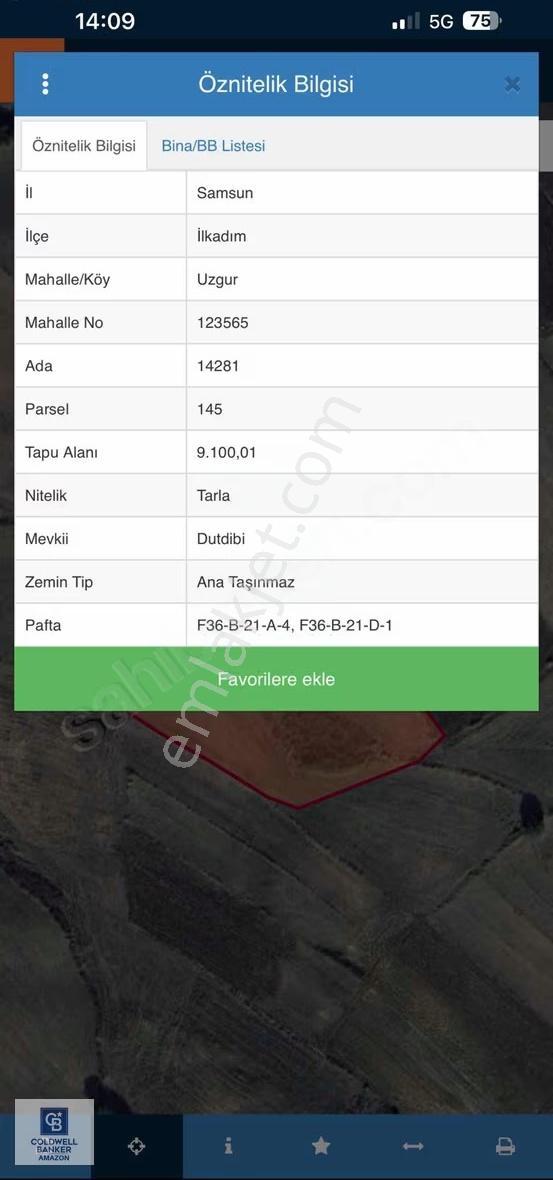 Cb.amazon İlkadım Uzgur Mahallesinde Yatırımlık Tarla Hissesi - Görsel 3