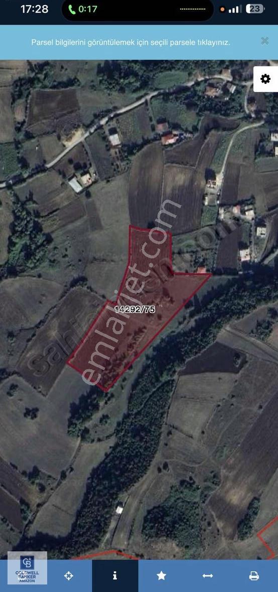 Cb.amazon Uzgur Mahallesi 1622 Yatırımlık Tarla Hissesi - Görsel 3