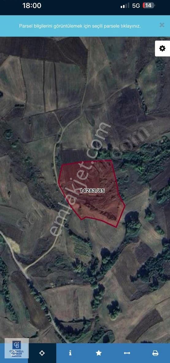 Cb.amazon Uzgur Mahallesinde 1439 M2 Yatırımlık Tarla Hissesi