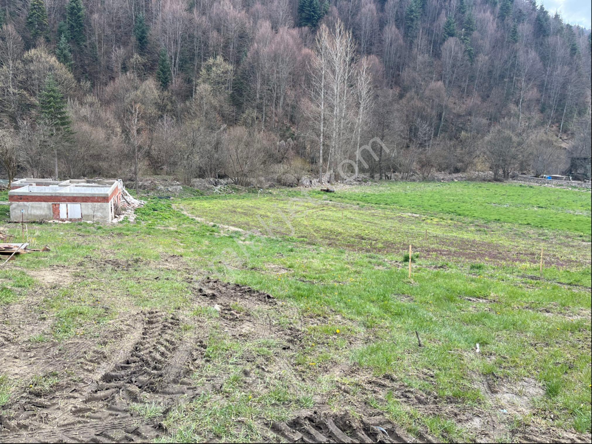 Bolu Abant Yolunda İstanbul Ankara Yatırımcılarına Otel İmarlı Arsa - Görsel 3