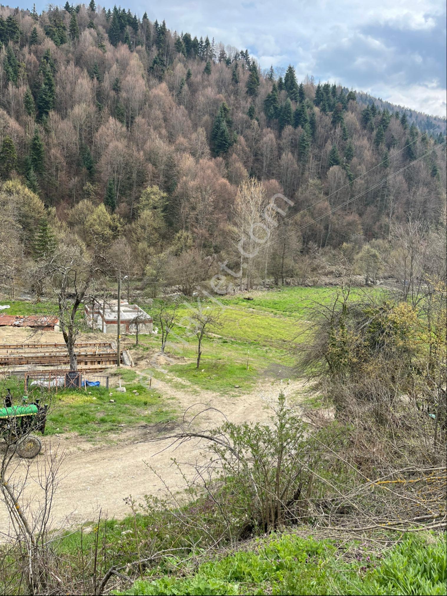 Bolu Abant Yolunda İstanbul Ankara Yatırımcılarına Otel İmarlı Arsa - Görsel 2