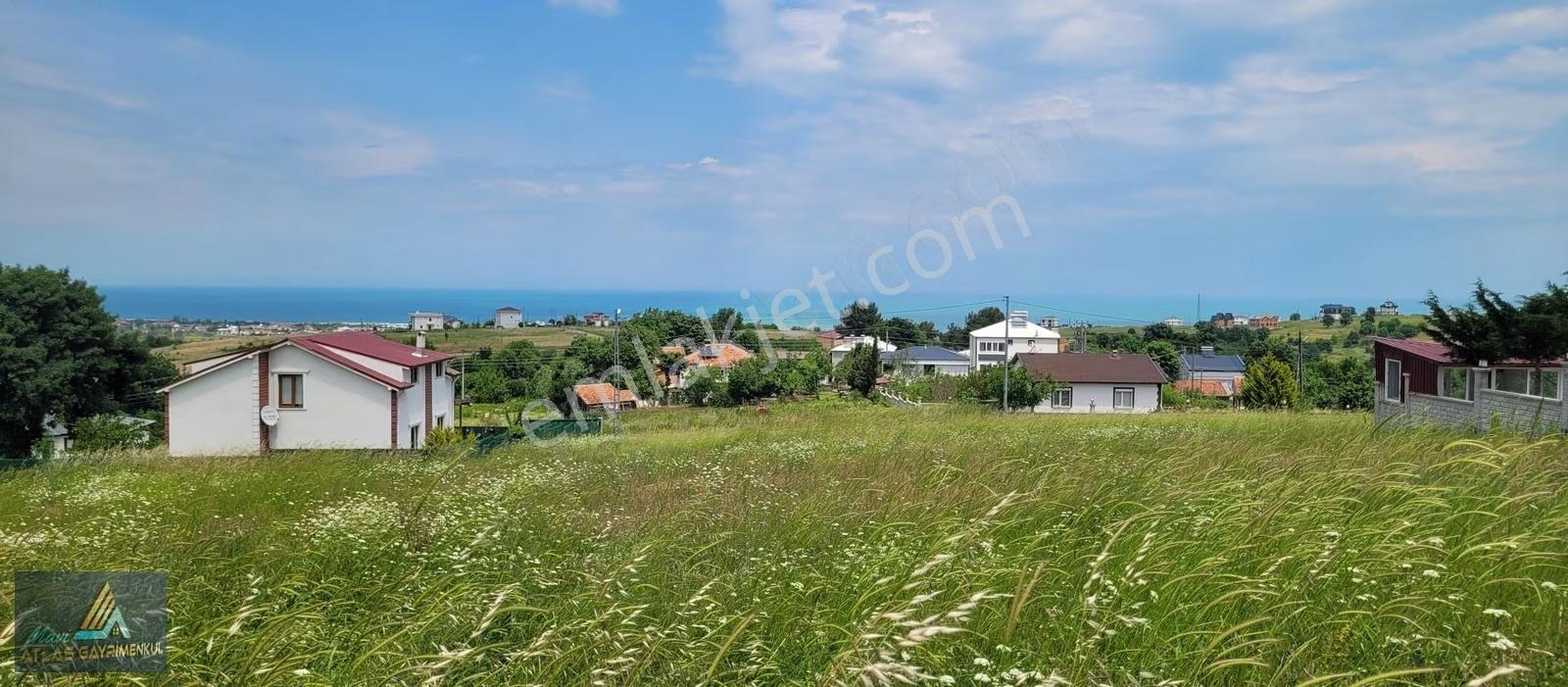 Mavi Atlas'tan 19 Mayıs Taşkelik De Deniz Manzaralı Villa Arsası - Görsel 8