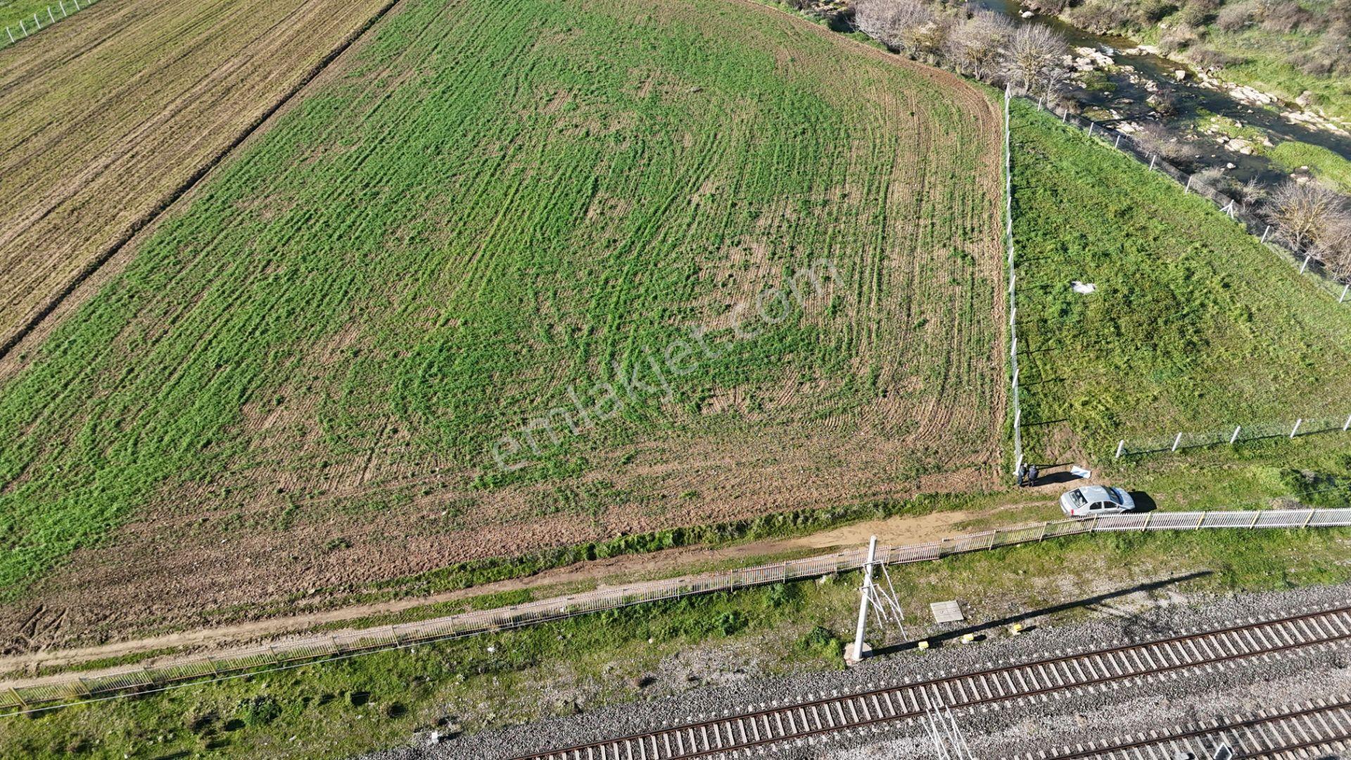 İzmir Menderes Develide 1805 M2 Hisse Tapulu Taksimli Yolu Var - Görsel 34