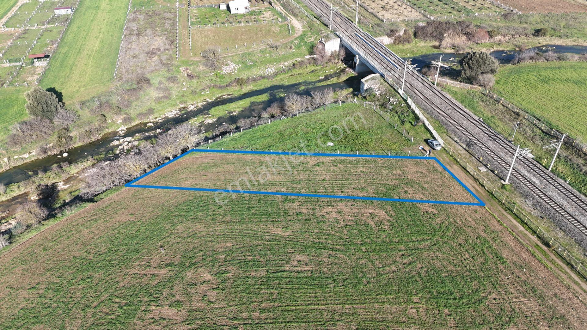 İzmir Menderes Develide 1805 M2 Hisse Tapulu Taksimli Yolu Var - Görsel 5