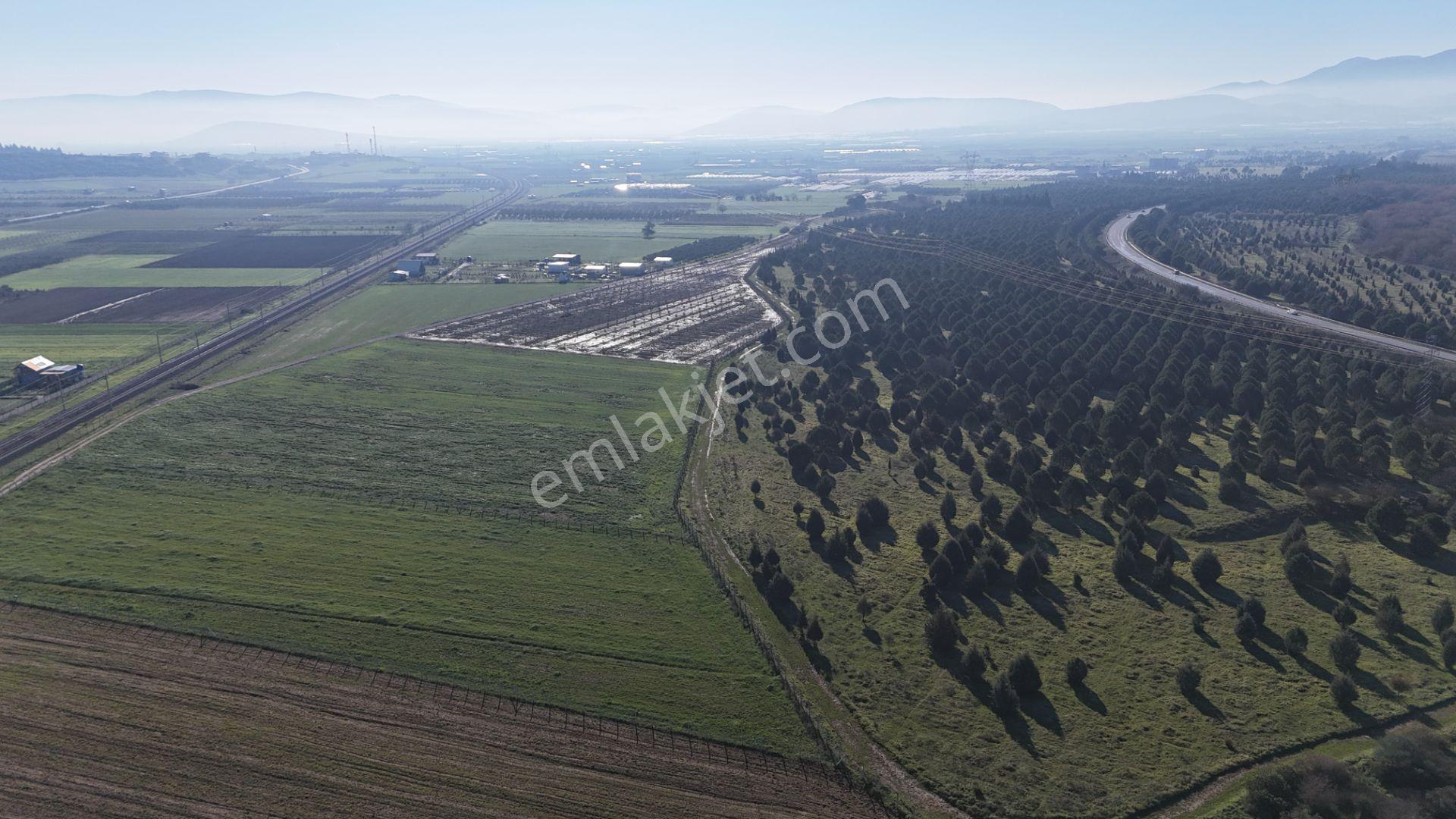 İzmir Menderes Develide 1805 M2 Hisse Tapulu Taksimli Yolu Var - Görsel 25