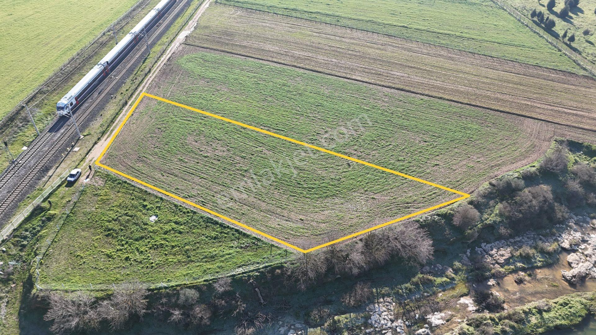 İzmir Menderes Develide 1805 M2 Hisse Tapulu Taksimli Yolu Var - Görsel 12