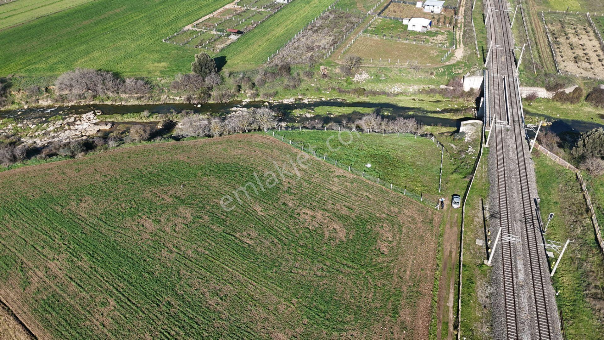 İzmir Menderes Develide 1805 M2 Hisse Tapulu Taksimli Yolu Var - Görsel 19