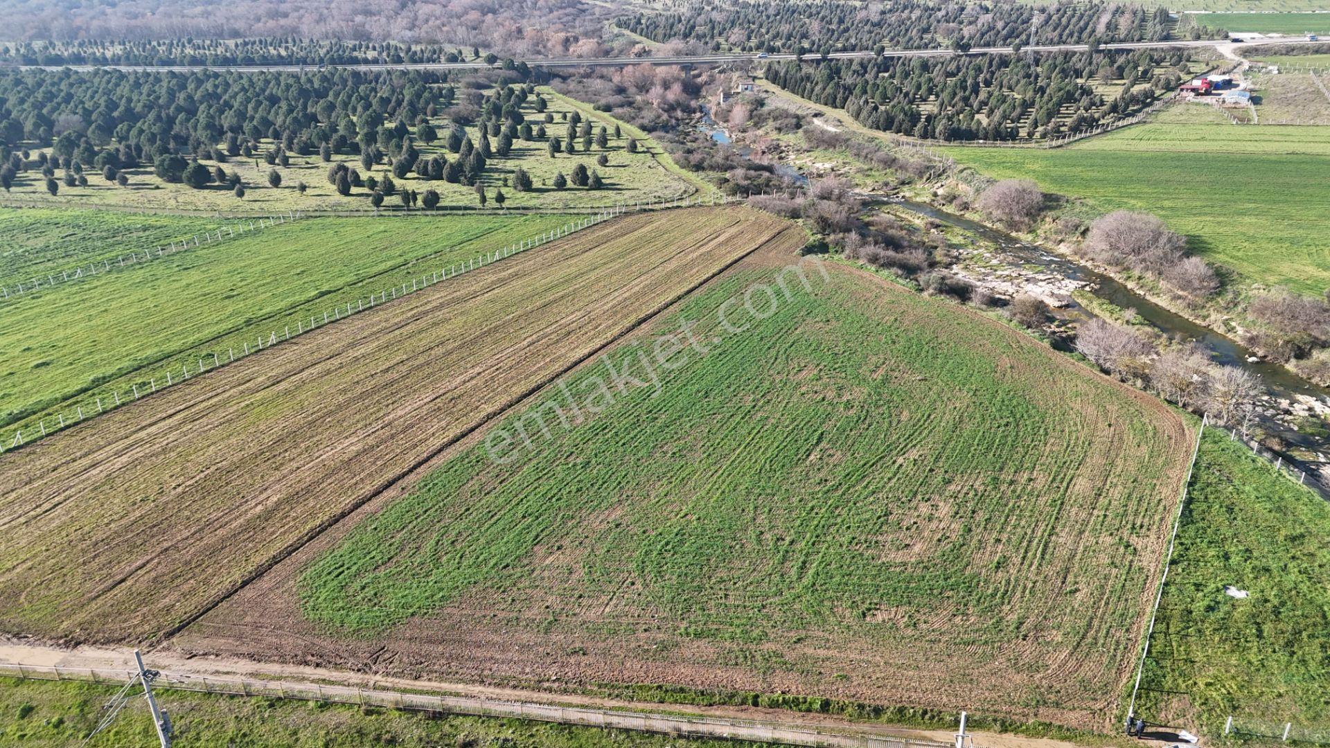 İzmir Menderes Develide 1805 M2 Hisse Tapulu Taksimli Yolu Var - Görsel 29