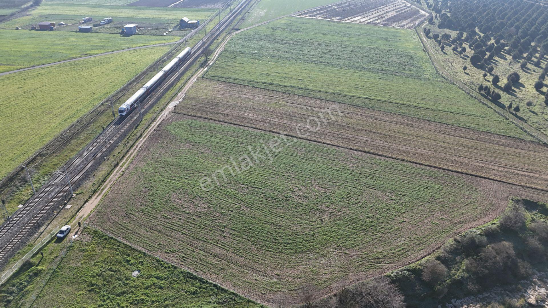 İzmir Menderes Develide 1805 M2 Hisse Tapulu Taksimli Yolu Var - Görsel 18