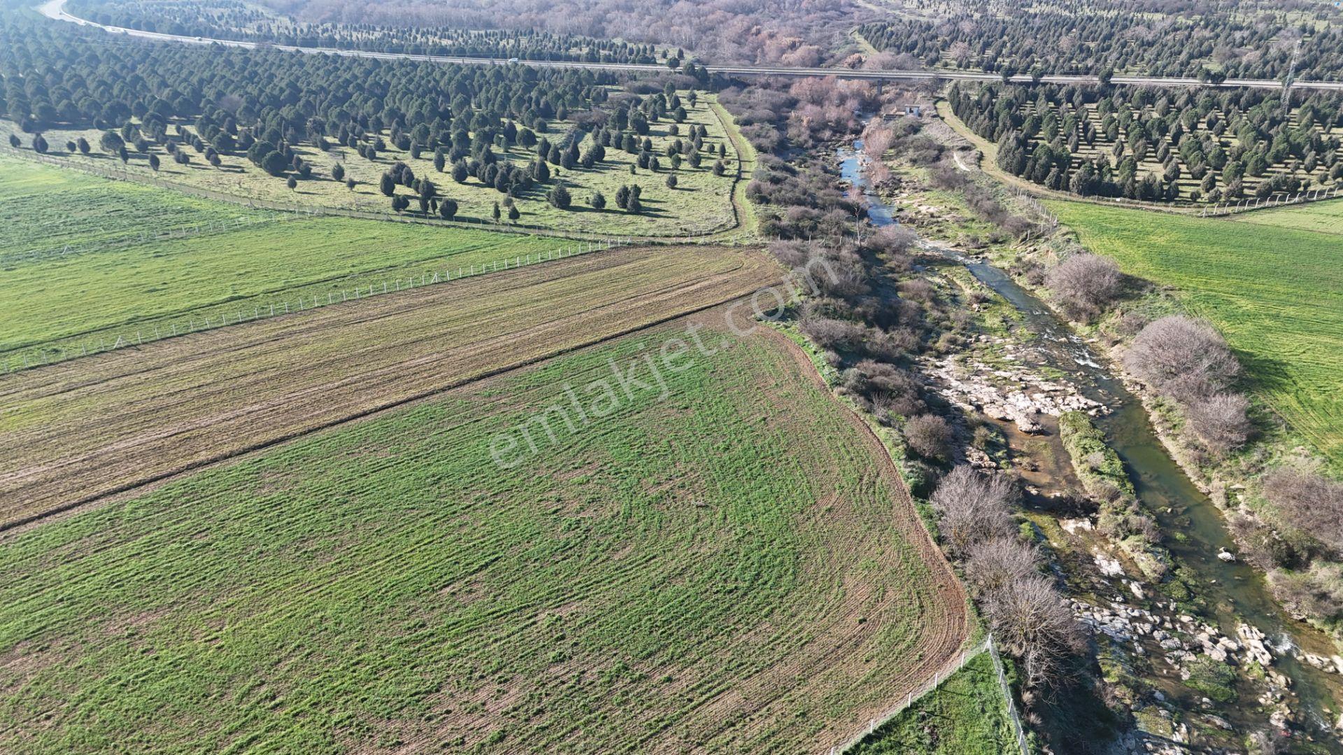 İzmir Menderes Develide 1805 M2 Hisse Tapulu Taksimli Yolu Var - Görsel 7