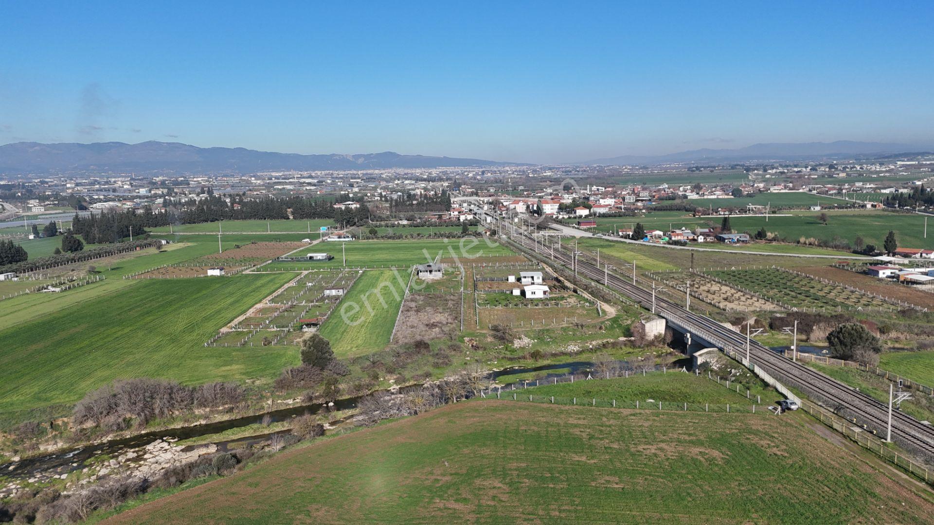 İzmir Menderes Develide 1805 M2 Hisse Tapulu Taksimli Yolu Var - Görsel 22