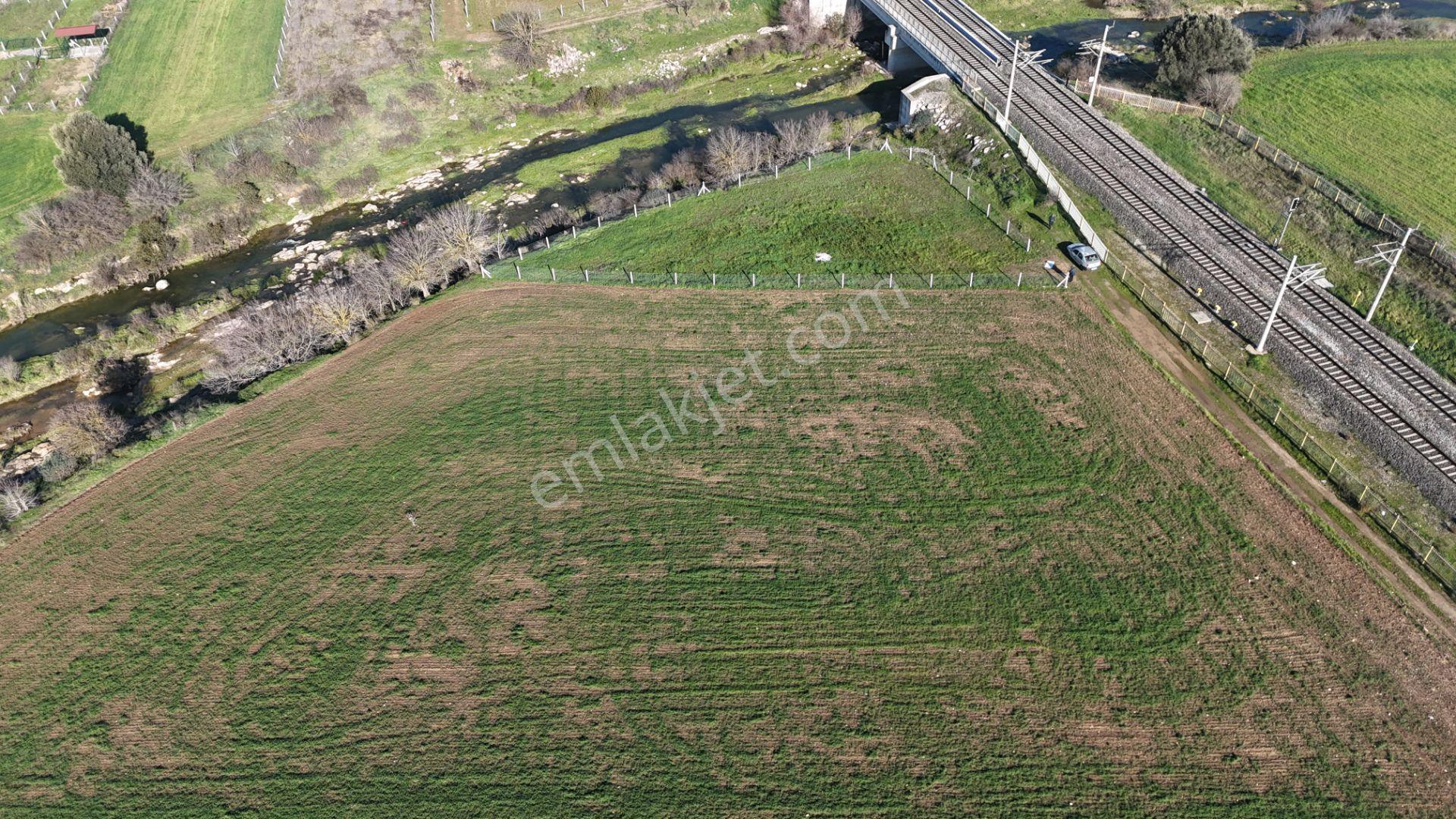 İzmir Menderes Develide 1805 M2 Hisse Tapulu Taksimli Yolu Var - Görsel 15