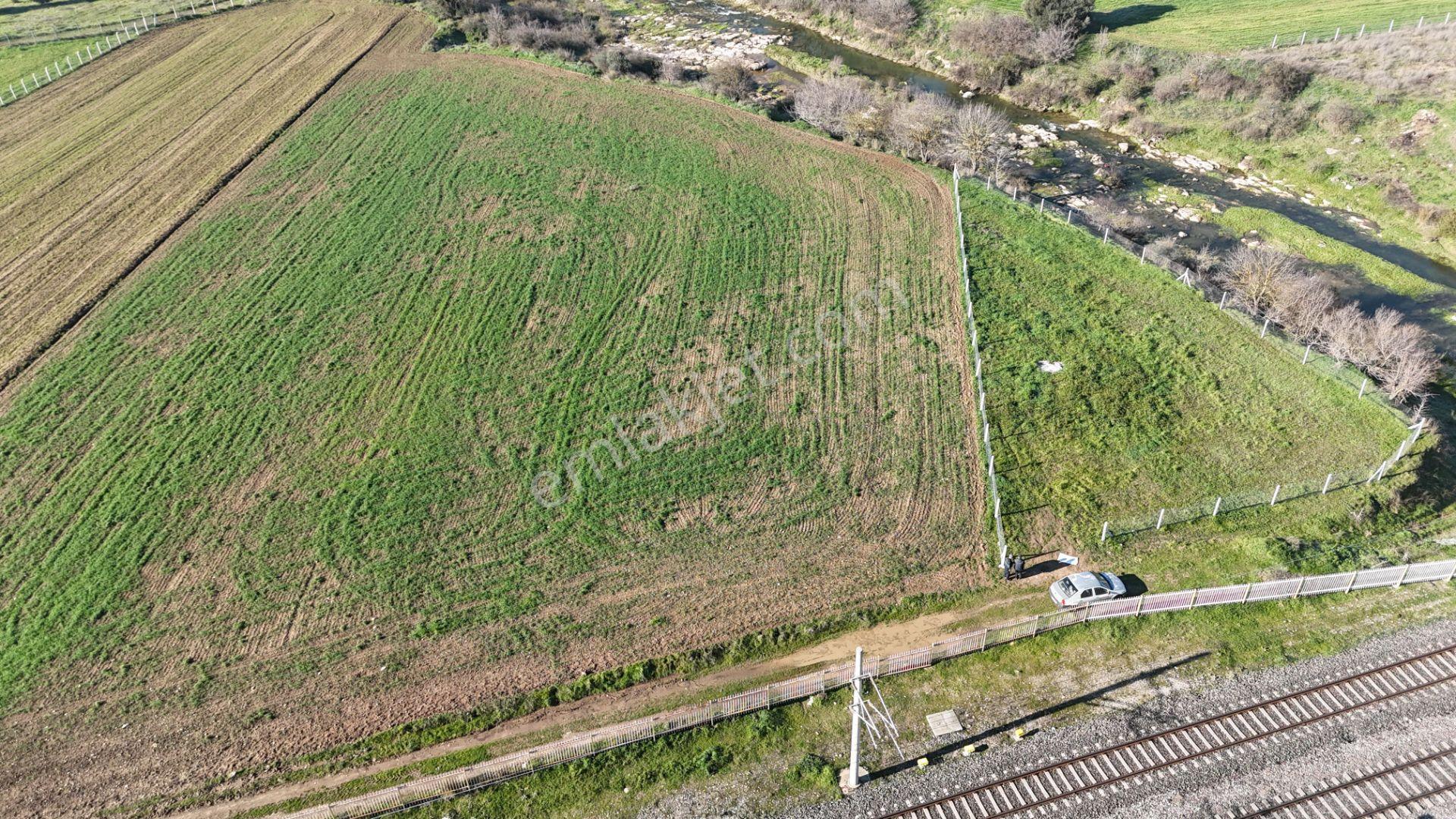 İzmir Menderes Develide 1805 M2 Hisse Tapulu Taksimli Yolu Var - Görsel 4