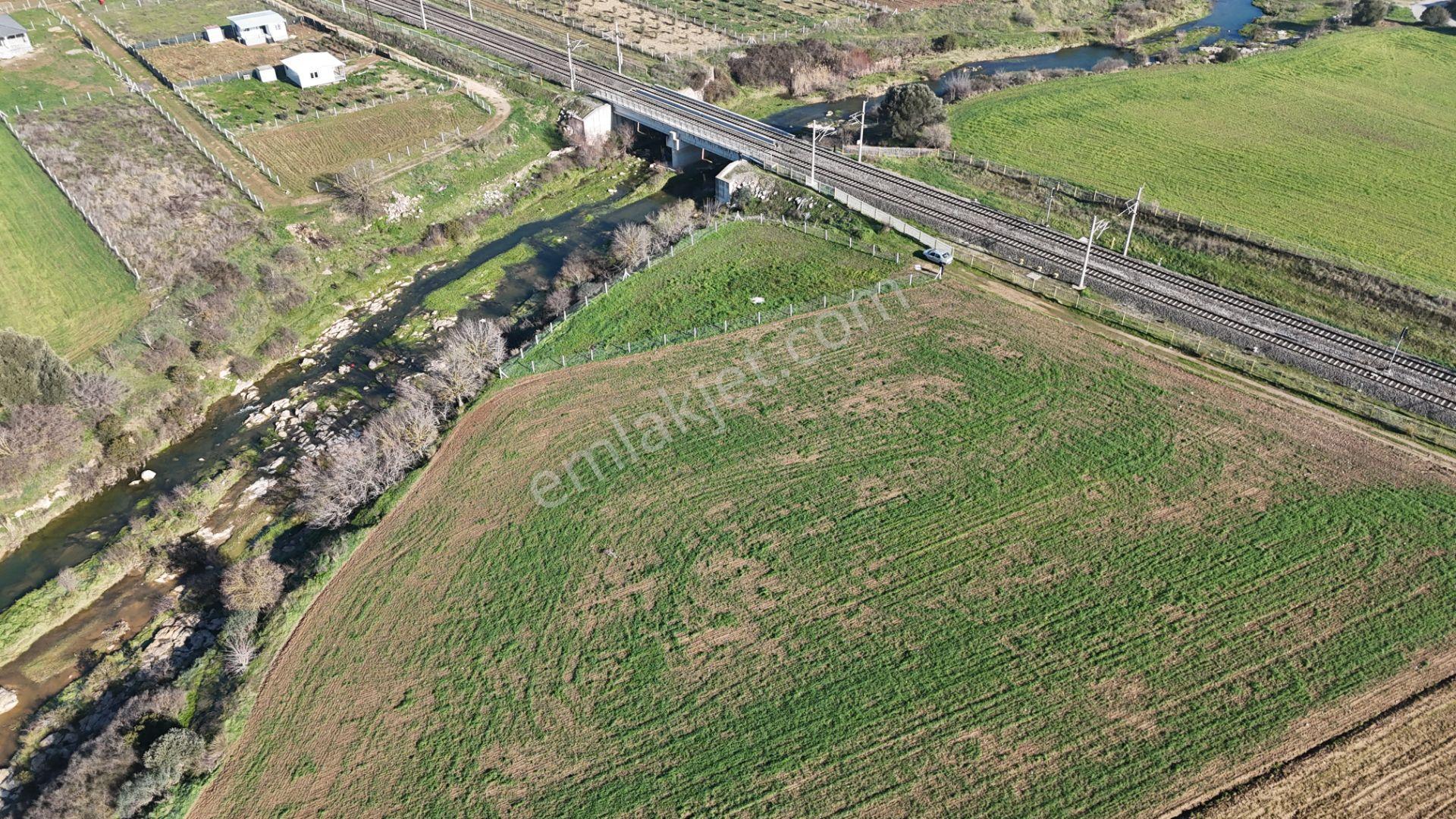 İzmir Menderes Develide 1805 M2 Hisse Tapulu Taksimli Yolu Var - Görsel 24