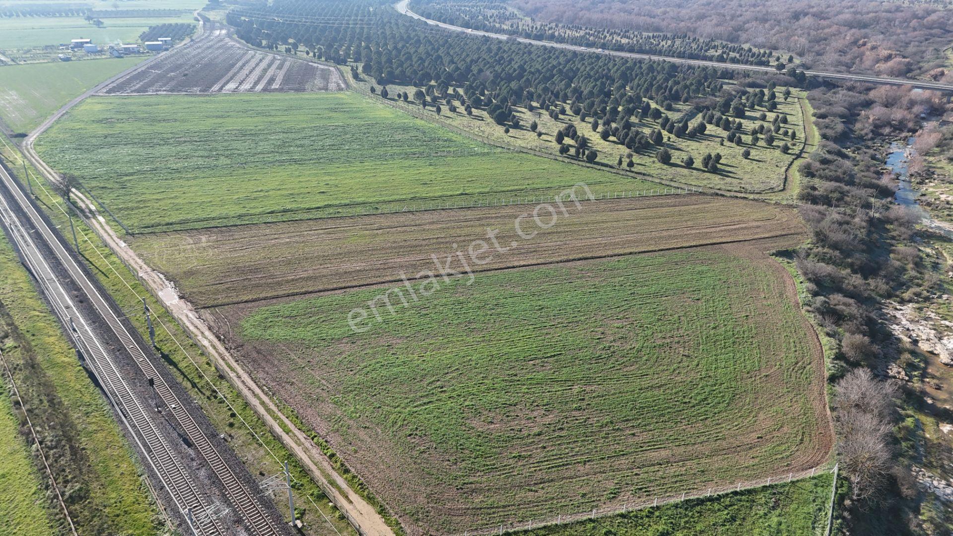 İzmir Menderes Develide 1805 M2 Hisse Tapulu Taksimli Yolu Var - Görsel 26