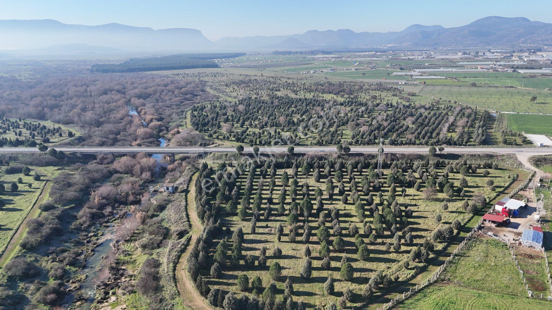 İzmir Menderes Develide 1805 M2 Hisse Tapulu Taksimli Yolu Var - Görsel 16