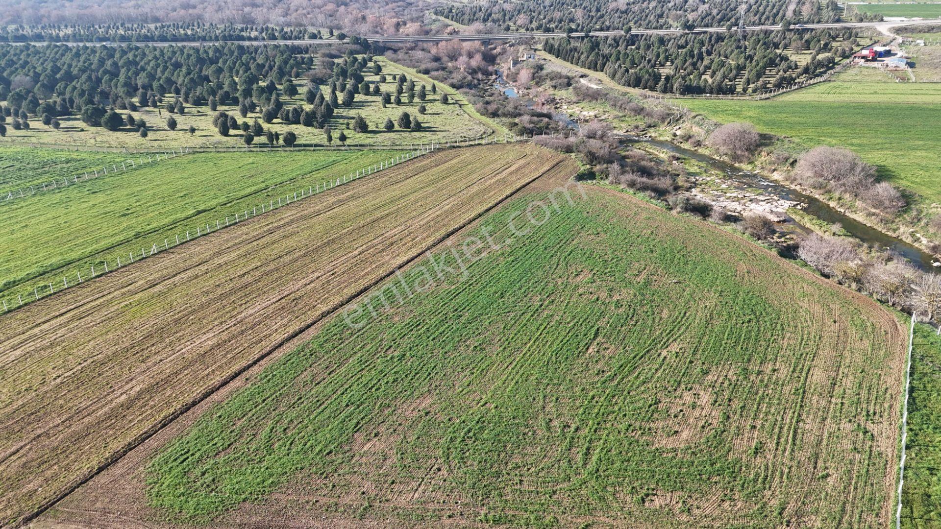 İzmir Menderes Develide 1805 M2 Hisse Tapulu Taksimli Yolu Var - Görsel 13