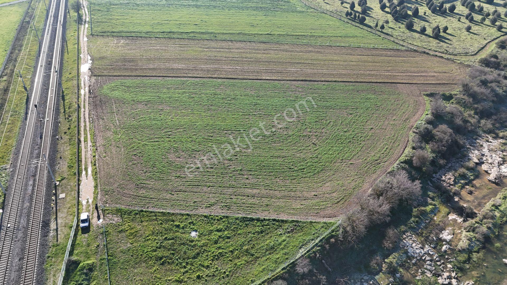 İzmir Menderes Develide 1805 M2 Hisse Tapulu Taksimli Yolu Var - Görsel 35
