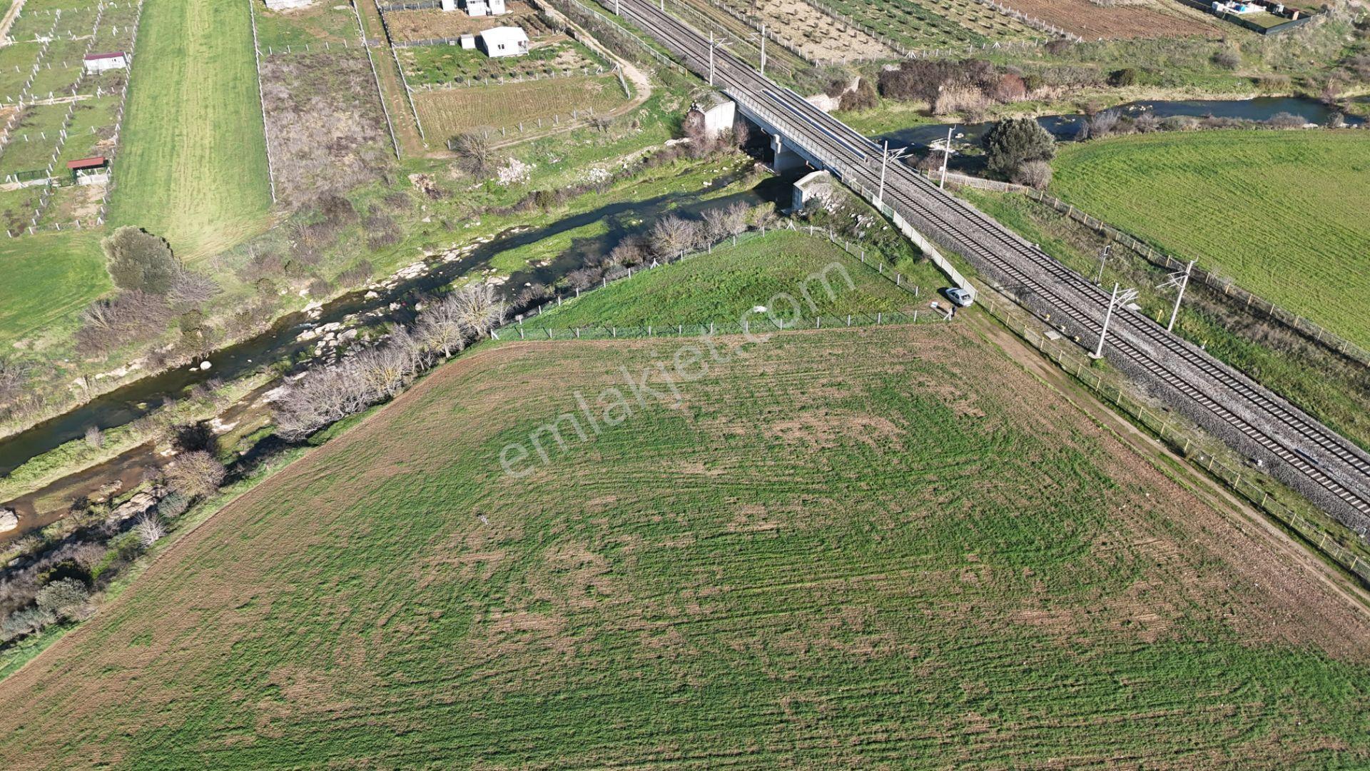 İzmir Menderes Develide 1805 M2 Hisse Tapulu Taksimli Yolu Var - Görsel 28