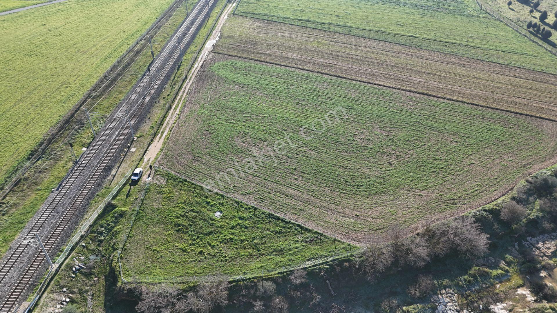 İzmir Menderes Develide 1805 M2 Hisse Tapulu Taksimli Yolu Var - Görsel 33