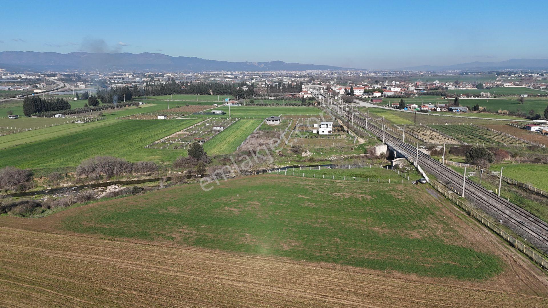 İzmir Menderes Develide 1805 M2 Hisse Tapulu Taksimli Yolu Var - Görsel 31