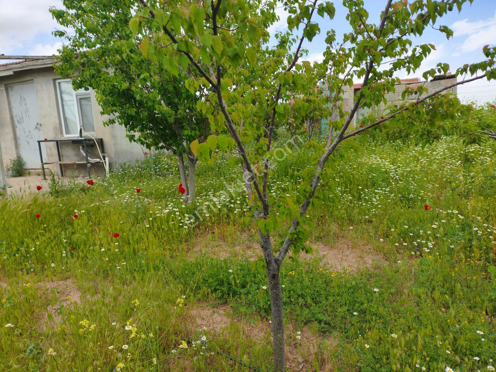 Sahibinden Satılık Gödene Mahallesinde Bahçe - Görsel 13