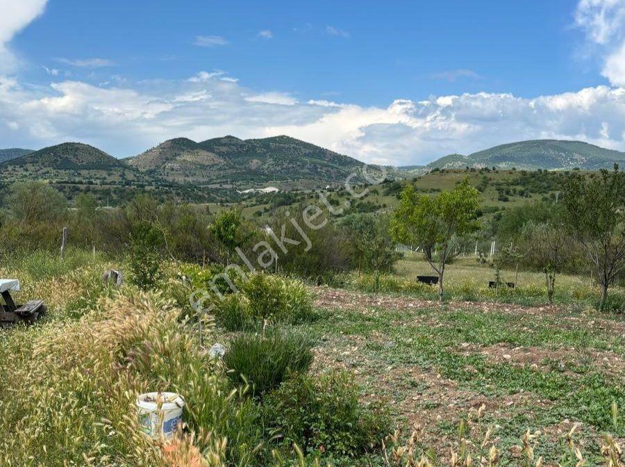 Murat Türkmen'den Kızılcahamam_çeltikçi'de Tek_tapu 1000m2_bahçe - Görsel 6