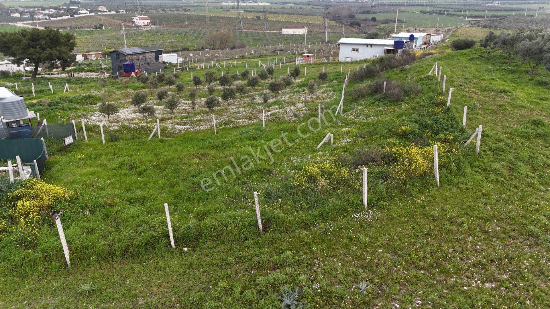 İzmir Menderes Kısık-oğlananasında Hisse Tapulu 400 M2 Arsa - Görsel 5