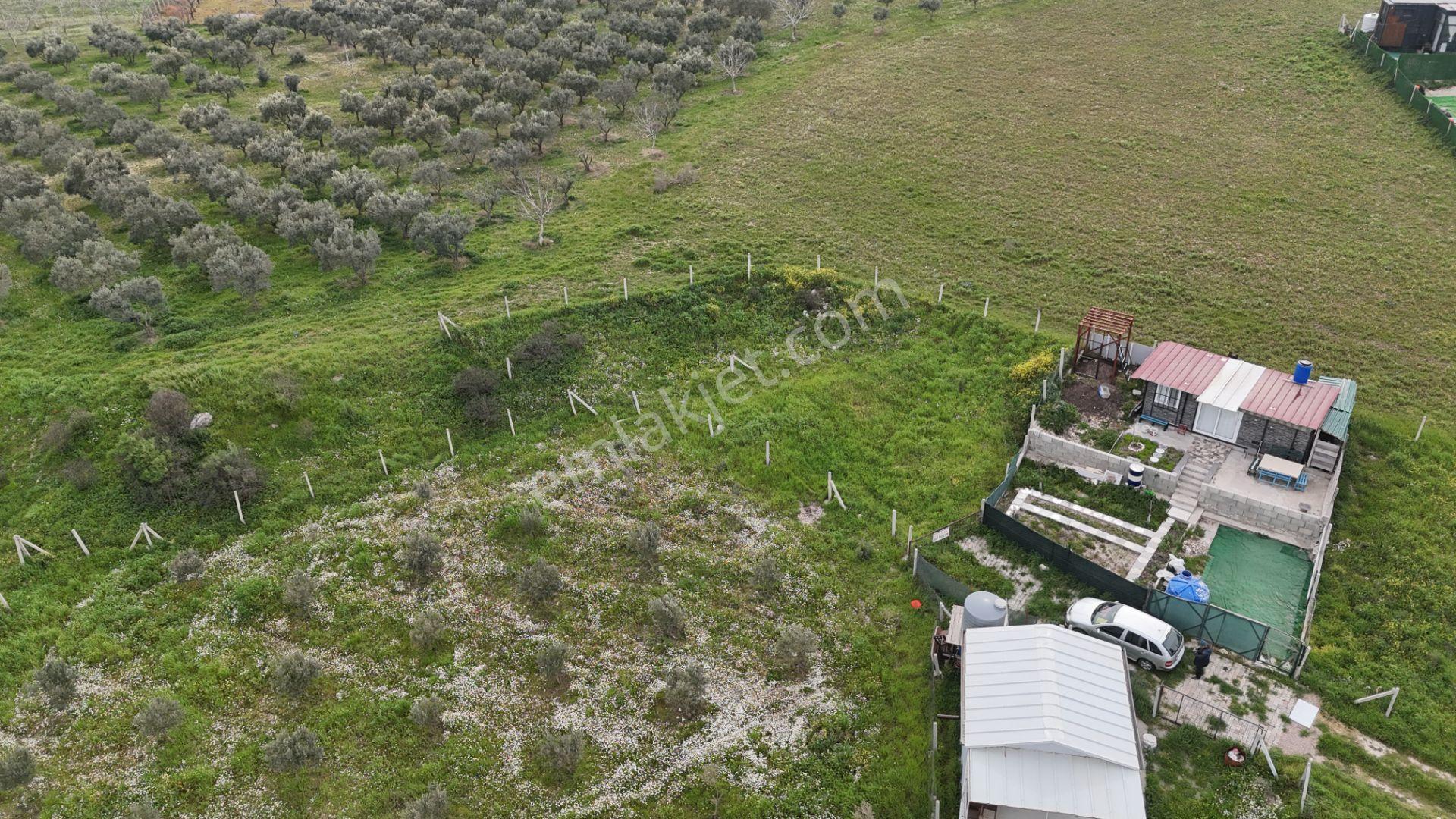 İzmir Menderes Kısık-oğlananasında Hisse Tapulu 400 M2 Arsa - Görsel 19