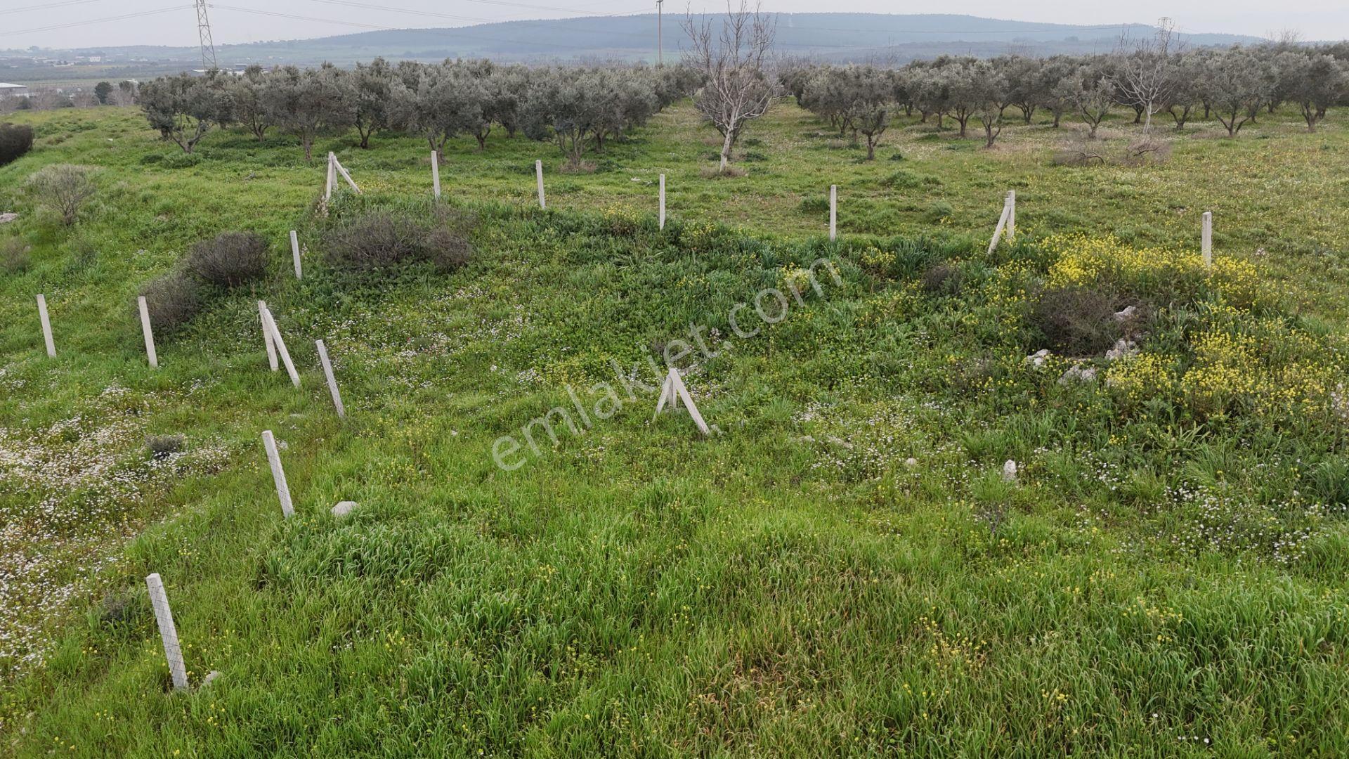 İzmir Menderes Kısık-oğlananasında Hisse Tapulu 400 M2 Arsa - Görsel 22