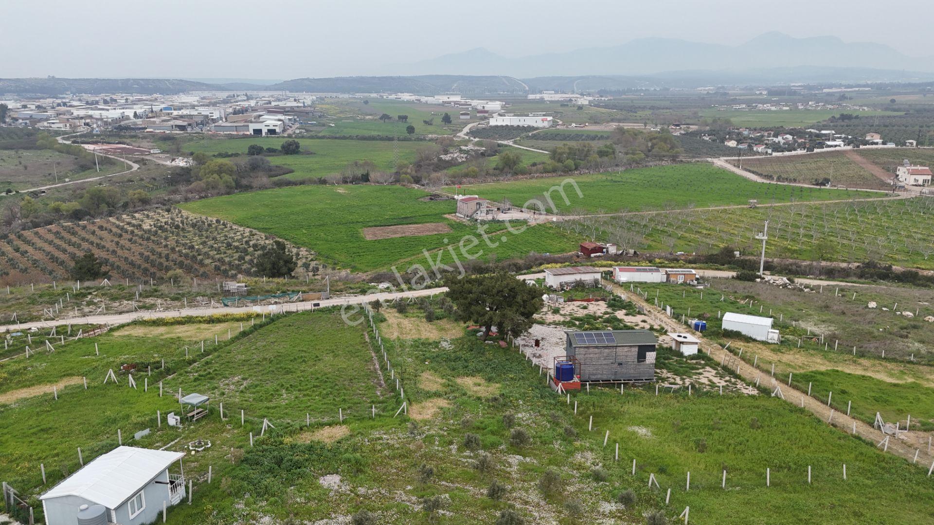 İzmir Menderes Kısık-oğlananasında Hisse Tapulu 400 M2 Arsa - Görsel 8
