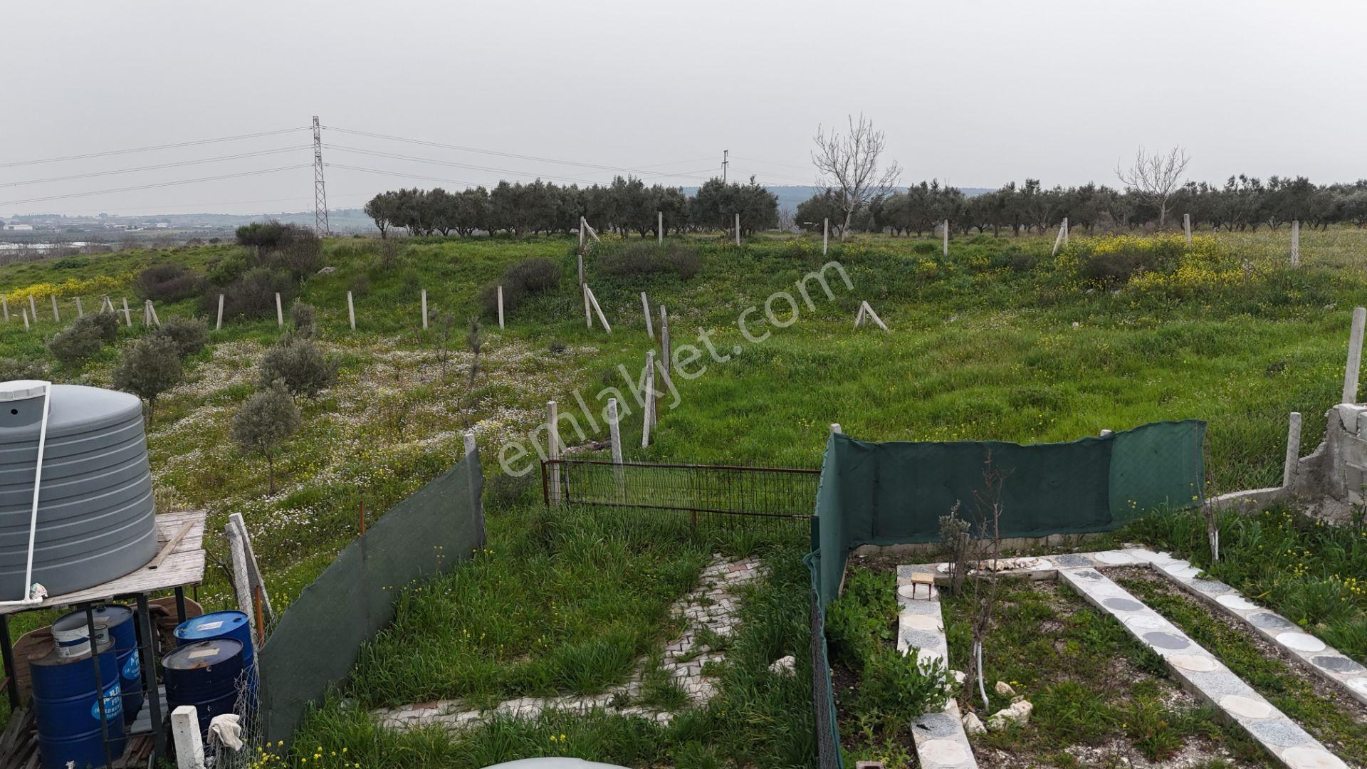 İzmir Menderes Kısık-oğlananasında Hisse Tapulu 400 M2 Arsa - Görsel 4
