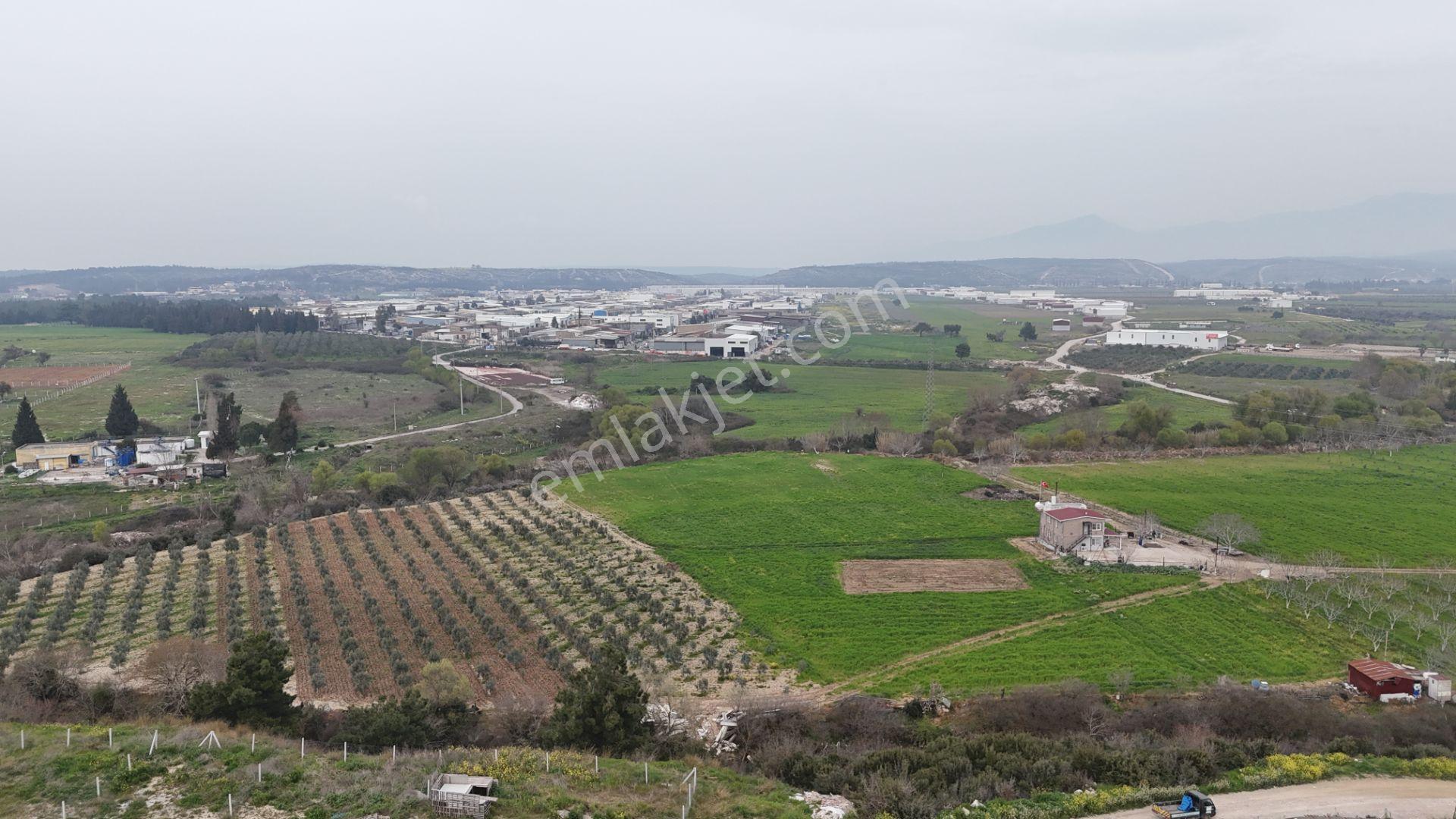 İzmir Menderes Kısık-oğlananasında Hisse Tapulu 400 M2 Arsa - Görsel 27