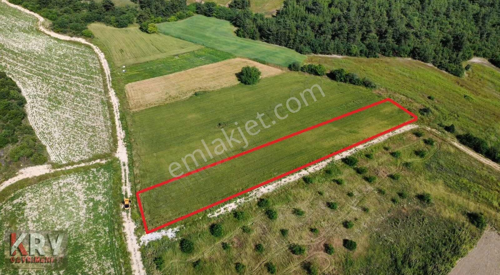 Bursa Yenişehir Çamönü Mahallesinde 2420 M2 Arazi - Görsel 10