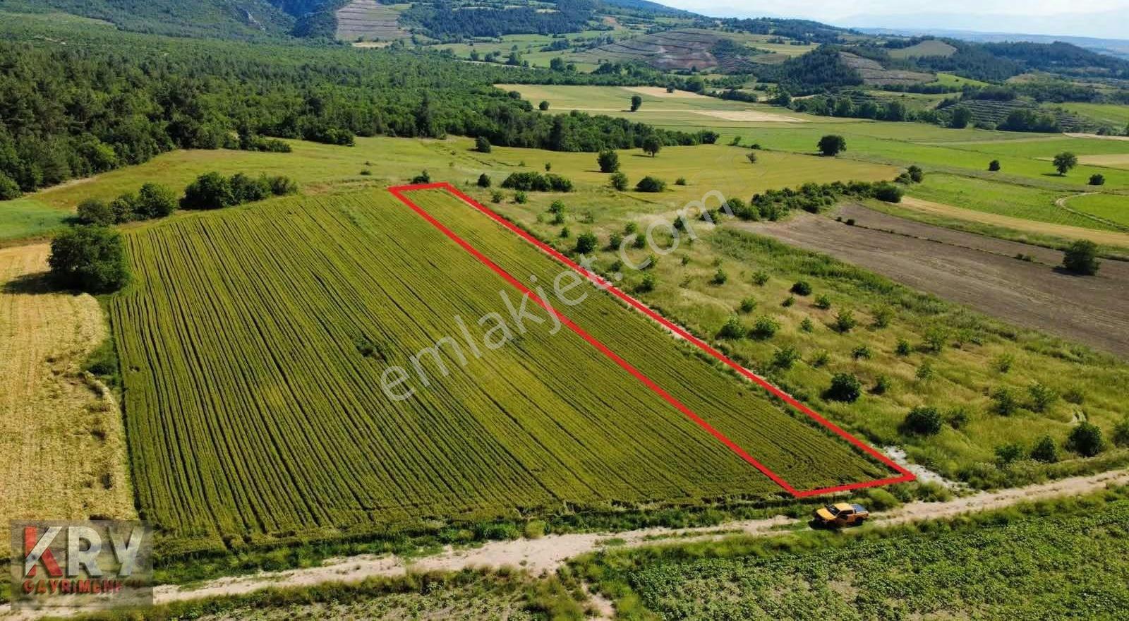 Bursa Yenişehir Çamönü Mahallesinde 2420 M2 Arazi - Görsel 5
