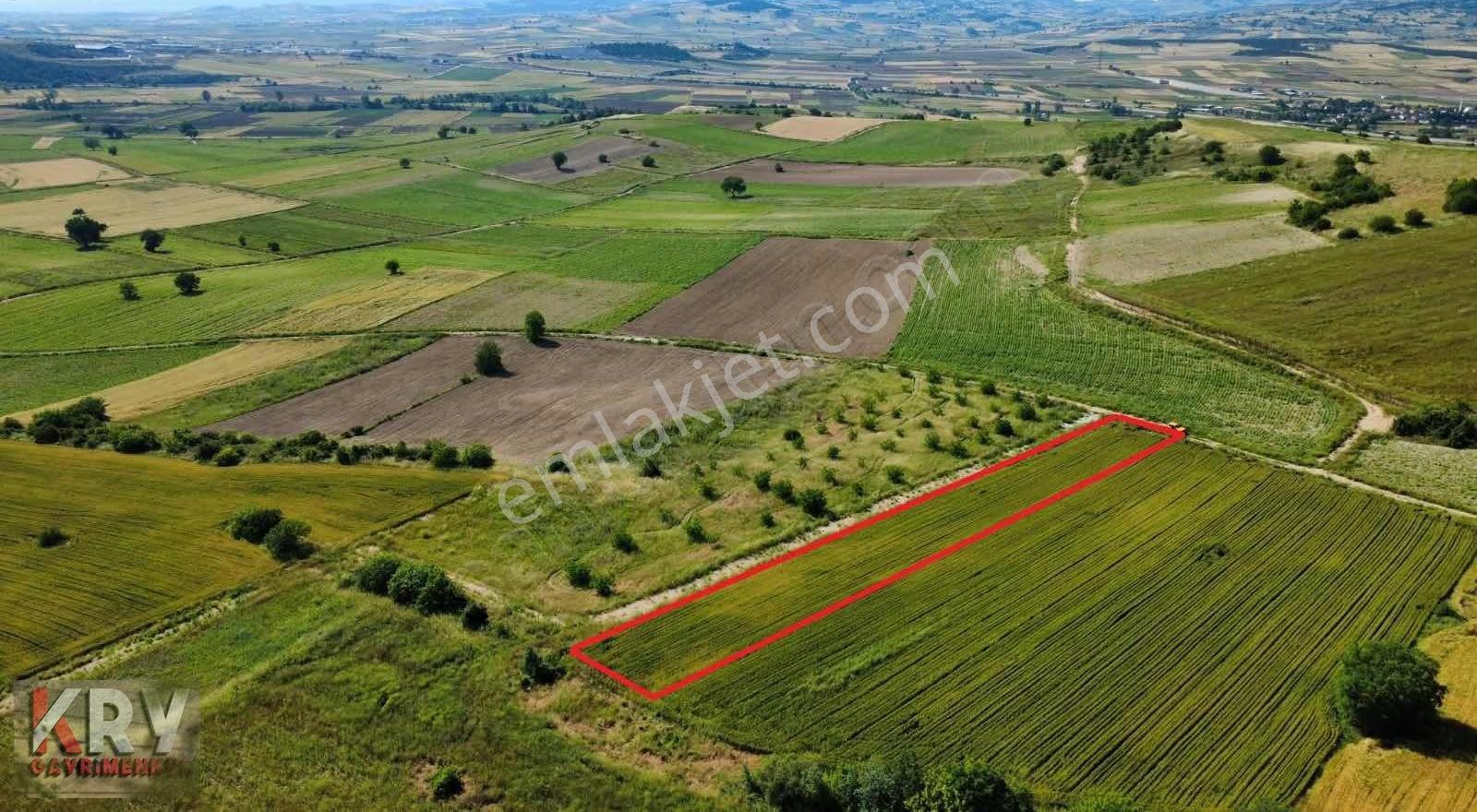 Bursa Yenişehir Çamönü Mahallesinde 2420 M2 Arazi - Görsel 2