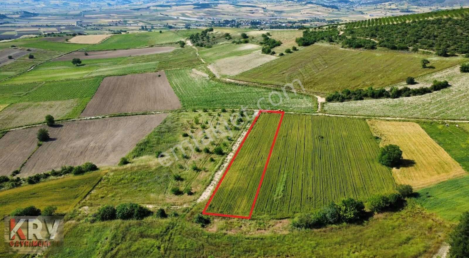 Bursa Yenişehir Çamönü Mahallesinde 2420 M2 Arazi - Görsel 4
