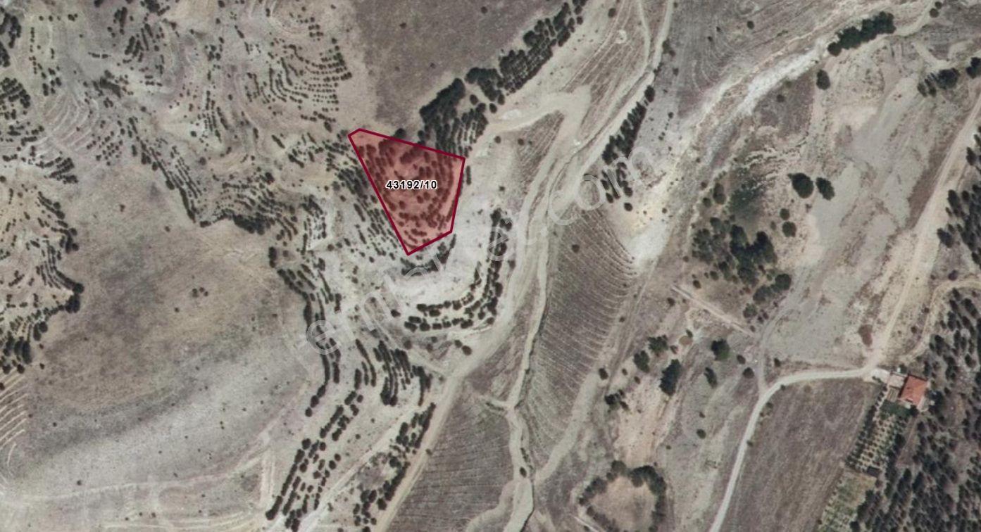 Altınapa'da Tepe Konumlu 2.305 M² Göl Manzarası+yolu Açılmış - Görsel 3